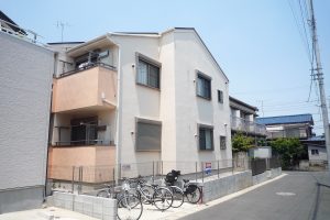 モンステラ下田