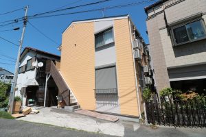 モンステラ入江