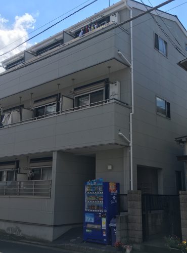モンステラ六角橋